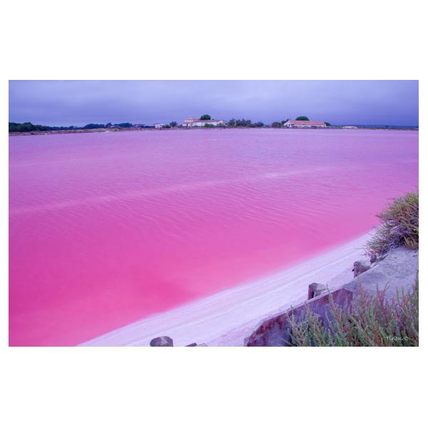 PHOTO84, CLUB, 84 , LUBERON